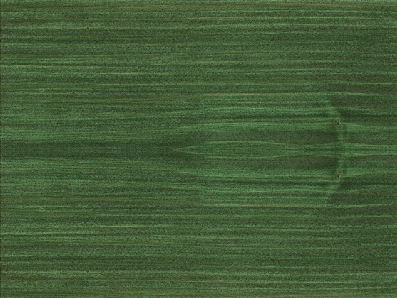 Ochranná olejová lazura 729